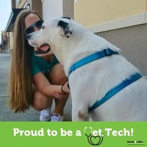 Meet your Posher, Kristy